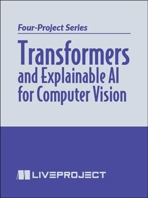 Transformers-and-Explainable-AI-for-Computer-Vision