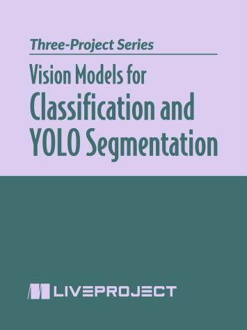 Vision_Models_Classification_YOLO_Segmentation